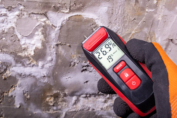 Best Crawl Space Mold Removal  in Mayville, WI