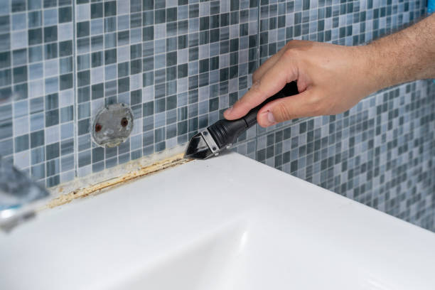 Best Mold Remediation  in Mayville, WI