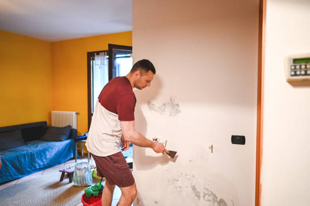 Best Professional Mold Removal  in Mayville, WI